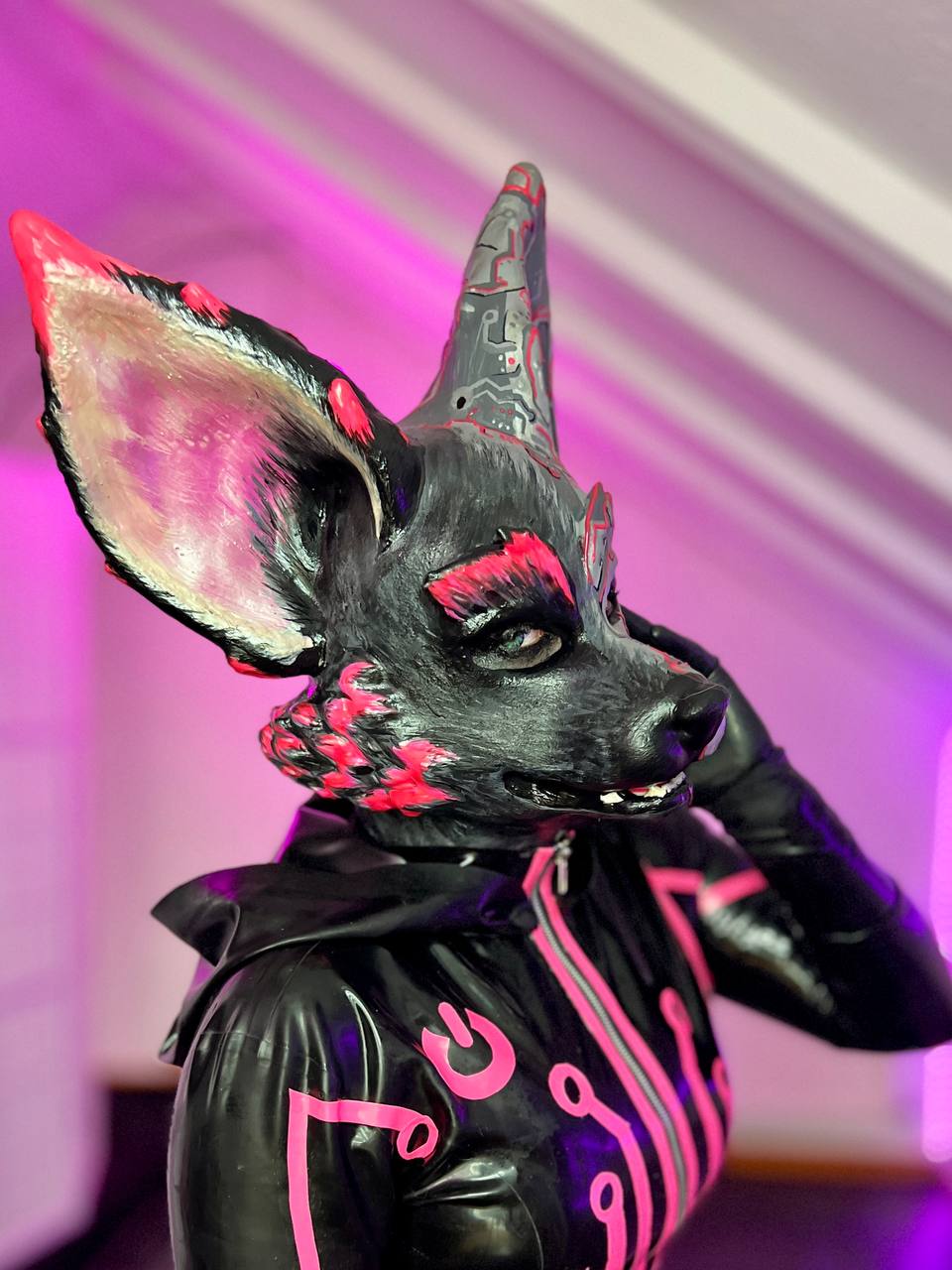 Foxministrator Bild 3